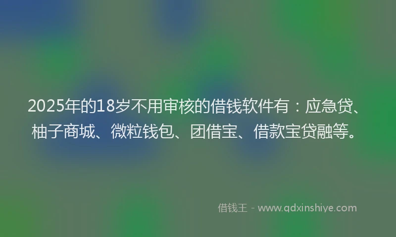 2025年的18岁不用审核的借钱软件有：应急贷、柚子商城、微粒钱包、团借宝、借款宝贷融等。