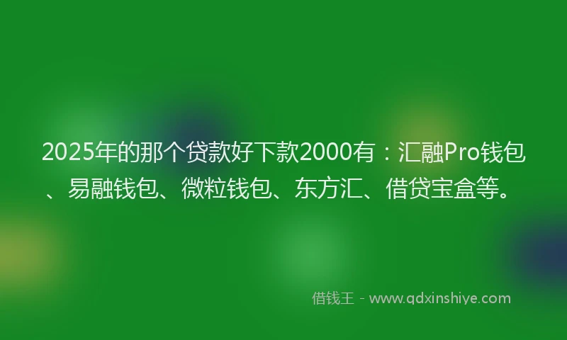 2025年的那个贷款好下款2000有：汇融Pro钱包、易融钱包、微粒钱包、东方汇、借贷宝盒等。