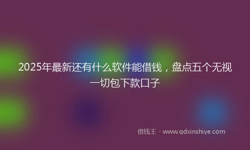 2025年最新还有什么软件能借钱，盘点五个无视一切包下款口子