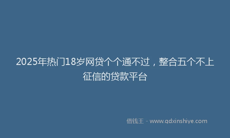 2025年热门18岁网贷个个通不过，整合五个不上征信的贷款平台