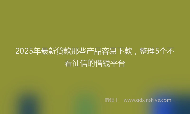 2025年最新贷款那些产品容易下款，整理5个不看征信的借钱平台