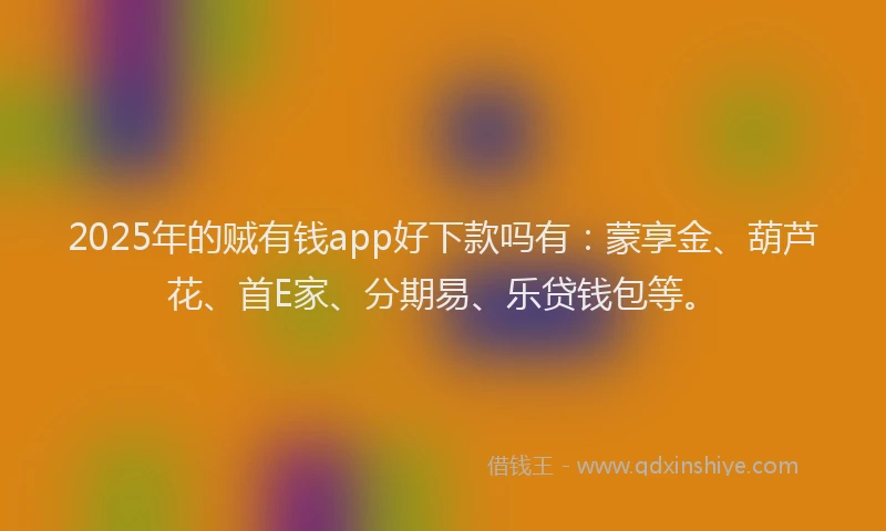 2025年的贼有钱app好下款吗有：蒙享金、葫芦花、首E家、分期易、乐贷钱包等。