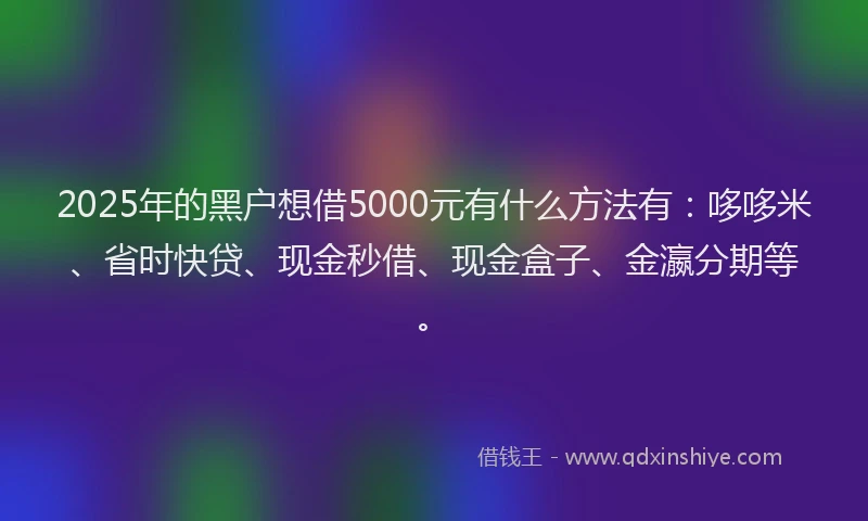 2025年的黑户想借5000元有什么方法有：哆哆米、省时快贷、现金秒借、现金盒子、金瀛分期等。