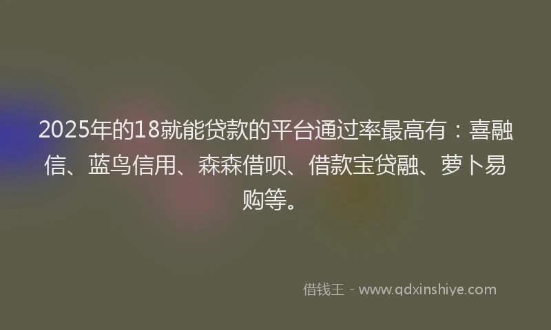2025年的18就能贷款的平台通过率最高有：喜融信、蓝鸟信用、森森借呗、借款宝贷融、萝卜易购等。