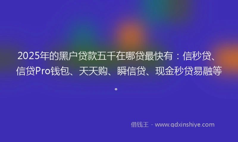 2025年的黑户贷款五千在哪贷最快有：信秒贷、信贷Pro钱包、天天购、瞬信贷、现金秒贷易融等。