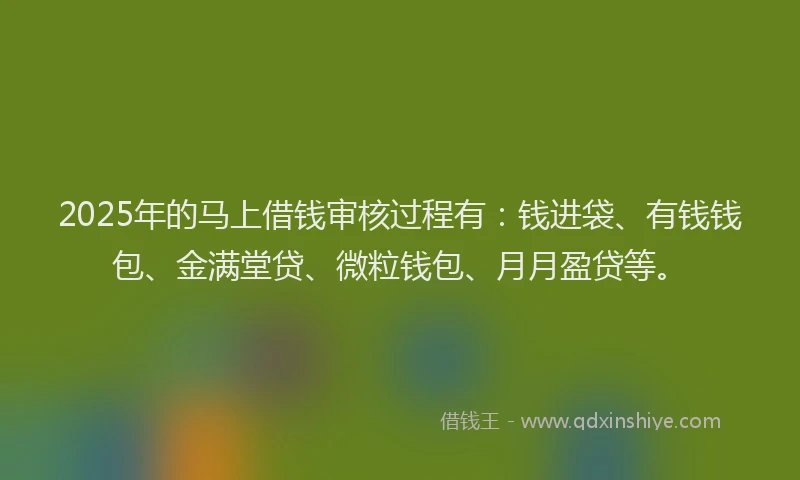 2025年的马上借钱审核过程有：钱进袋、有钱钱包、金满堂贷、微粒钱包、月月盈贷等。