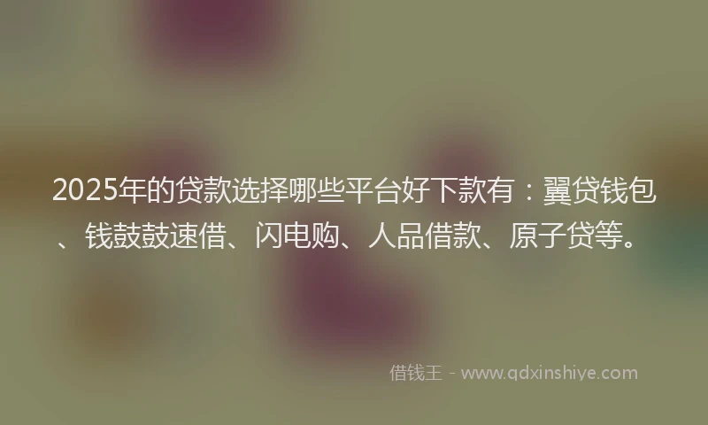 2025年的贷款选择哪些平台好下款有：翼贷钱包、钱鼓鼓速借、闪电购、人品借款、原子贷等。