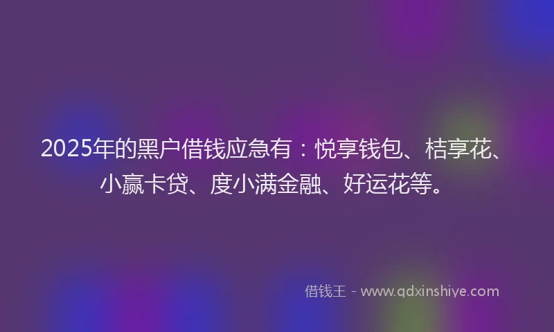 2025年的黑户借钱应急有：悦享钱包、桔享花、小赢卡贷、度小满金融、好运花等。