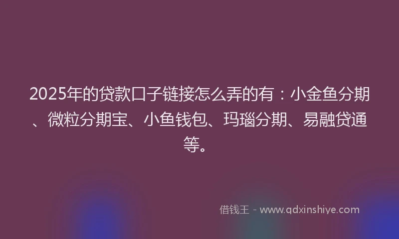2025年的贷款口子链接怎么弄的有：小金鱼分期、微粒分期宝、小鱼钱包、玛瑙分期、易融贷通等。