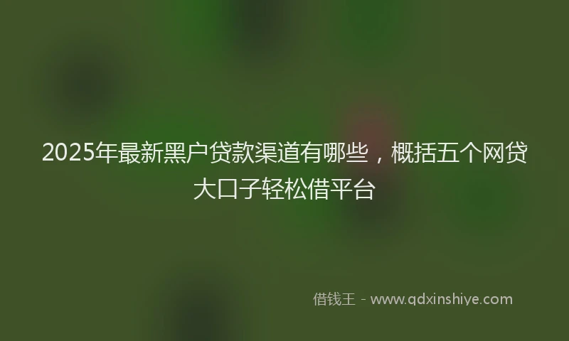 2025年最新黑户贷款渠道有哪些，概括五个网贷大口子轻松借平台