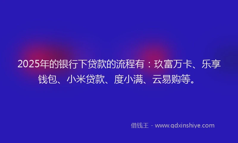 2025年的银行下贷款的流程有：玖富万卡、乐享钱包、小米贷款、度小满、云易购等。