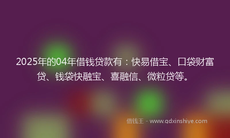 2025年的04年借钱贷款有：快易借宝、口袋财富贷、钱袋快融宝、喜融信、微粒贷等。