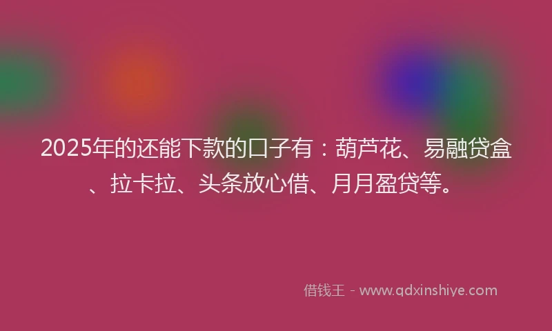 2025年的还能下款的口子有：葫芦花、易融贷盒、拉卡拉、头条放心借、月月盈贷等。