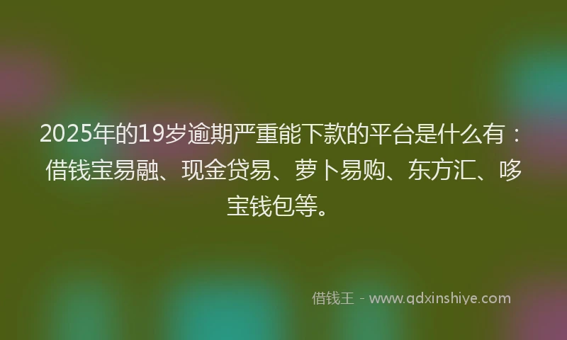2025年的19岁逾期严重能下款的平台是什么有：借钱宝易融、现金贷易、萝卜易购、东方汇、哆宝钱包等。