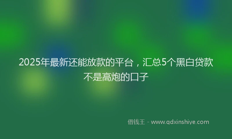 2025年最新还能放款的平台，汇总5个黑白贷款不是高炮的口子