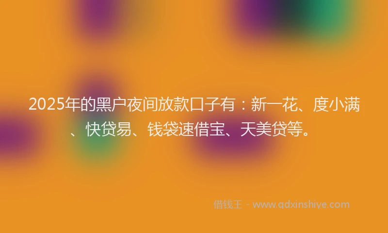 2025年的黑户夜间放款口子有：新一花、度小满、快贷易、钱袋速借宝、天美贷等。