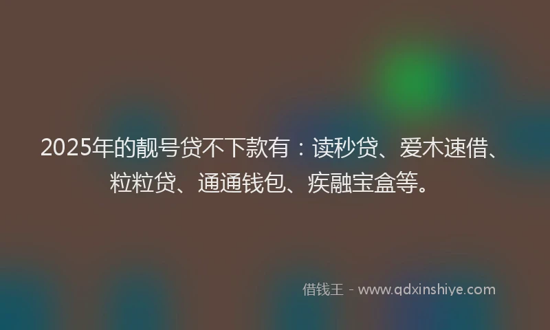 2025年的靓号贷不下款有：读秒贷、爱木速借、粒粒贷、通通钱包、疾融宝盒等。