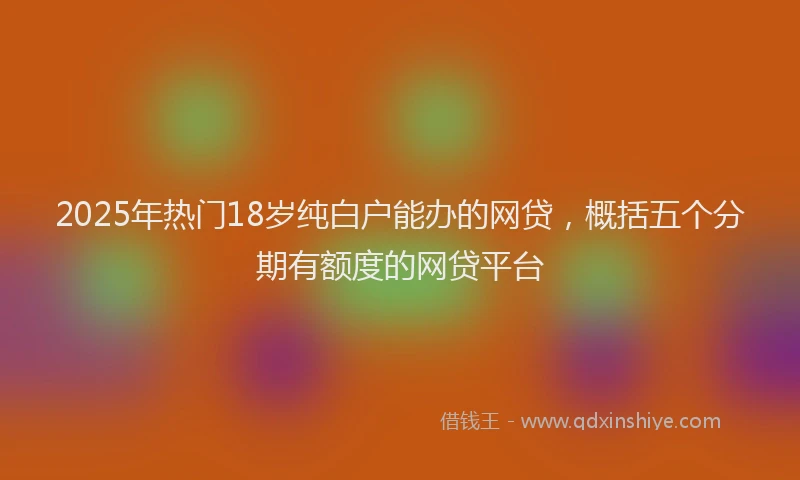 2025年热门18岁纯白户能办的网贷，概括五个分期有额度的网贷平台