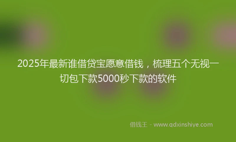 2025年最新谁借贷宝愿意借钱，梳理五个无视一切包下款5000秒下款的软件