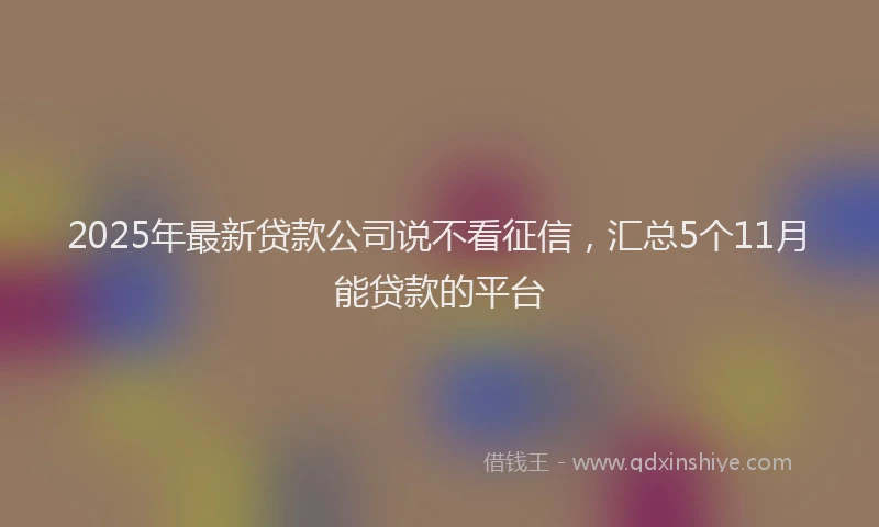 2025年最新贷款公司说不看征信，汇总5个11月能贷款的平台