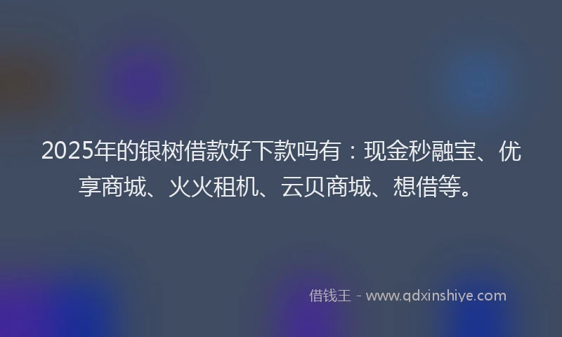 2025年的银树借款好下款吗有：现金秒融宝、优享商城、火火租机、云贝商城、想借等。