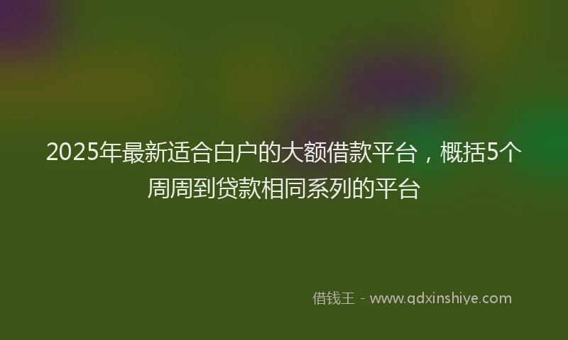 2025年最新适合白户的大额借款平台，概括5个周周到贷款相同系列的平台