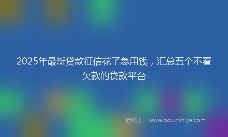 2025年最新贷款征信花了急用钱，汇总五个不看欠款的贷款平台