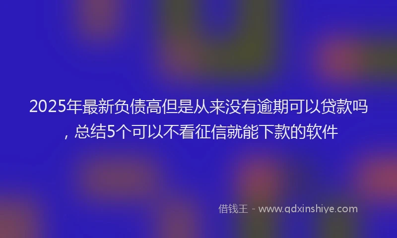2025年最新负债高但是从来没有逾期可以贷款吗，总结5个可以不看征信就能下款的软件