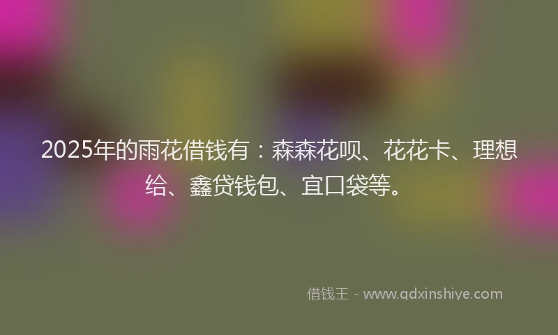 2025年的雨花借钱有：森森花呗、花花卡、理想给、鑫贷钱包、宜口袋等。