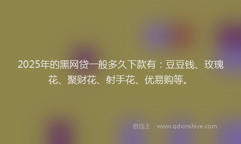 2025年的黑网贷一般多久下款有：豆豆钱、玫瑰花、聚财花、射手花、优易购等。