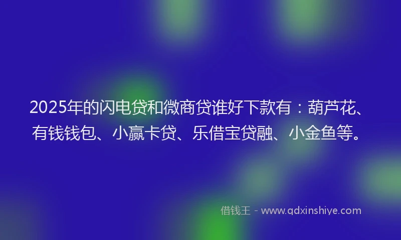 2025年的闪电贷和微商贷谁好下款有：葫芦花、有钱钱包、小赢卡贷、乐借宝贷融、小金鱼等。