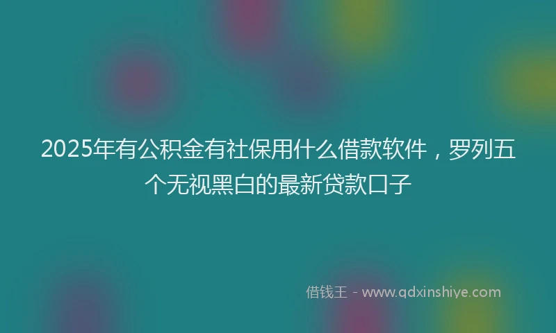 2025年有公积金有社保用什么借款软件，罗列五个无视黑白的最新贷款口子