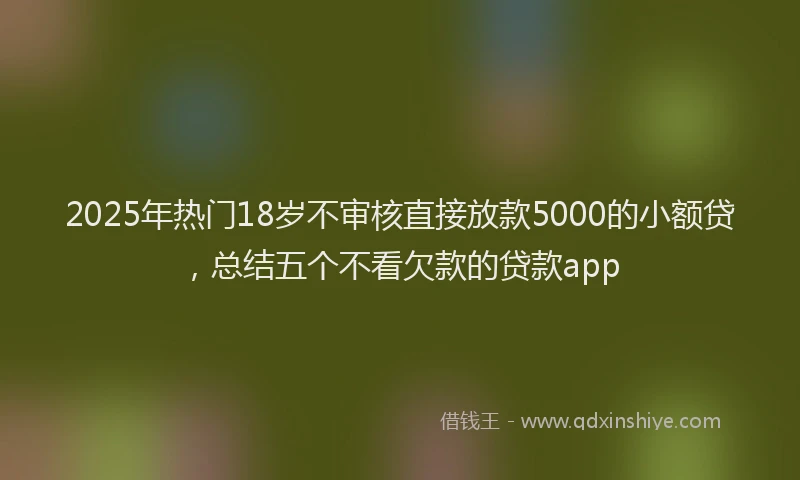 2025年热门18岁不审核直接放款5000的小额贷，总结五个不看欠款的贷款app