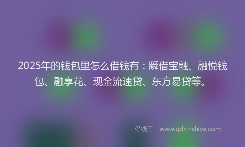 2025年的钱包里怎么借钱有：瞬借宝融、融悦钱包、融享花、现金流速贷、东方易贷等。