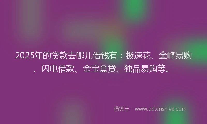 2025年的贷款去哪儿借钱有：极速花、金峰易购、闪电借款、金宝盒贷、独品易购等。