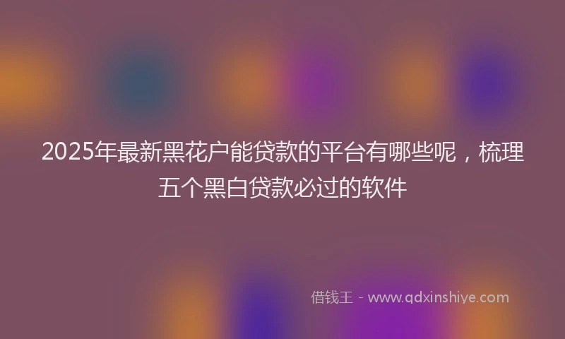 2025年最新黑花户能贷款的平台有哪些呢，梳理五个黑白贷款必过的软件