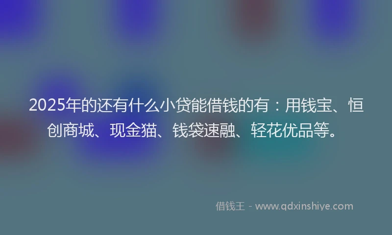 2025年的还有什么小贷能借钱的有：用钱宝、恒创商城、现金猫、钱袋速融、轻花优品等。