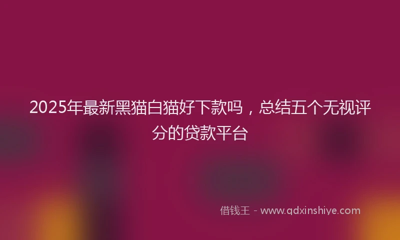2025年最新黑猫白猫好下款吗，总结五个无视评分的贷款平台