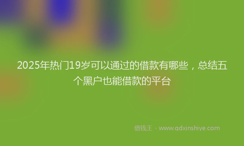 2025年热门19岁可以通过的借款有哪些，总结五个黑户也能借款的平台