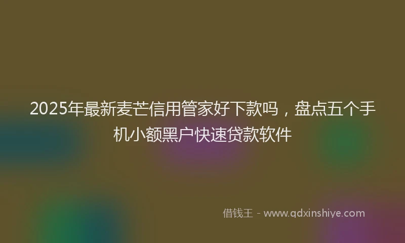 2025年最新麦芒信用管家好下款吗，盘点五个手机小额黑户快速贷款软件