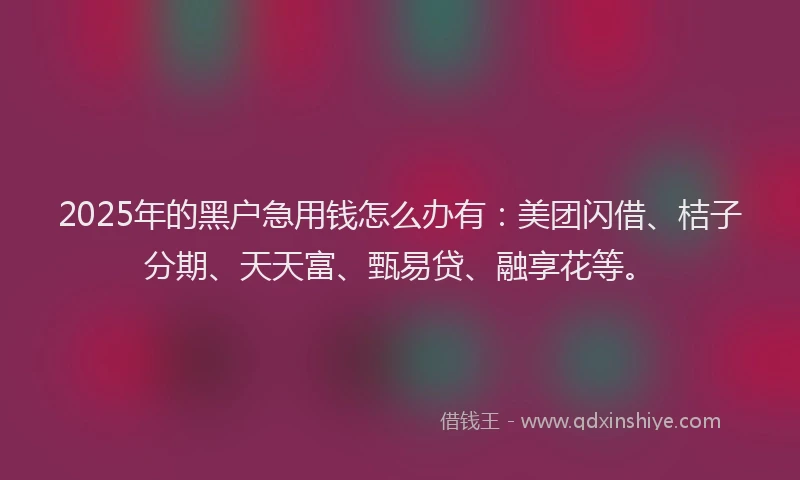 2025年的黑户急用钱怎么办有：美团闪借、桔子分期、天天富、甄易贷、融享花等。