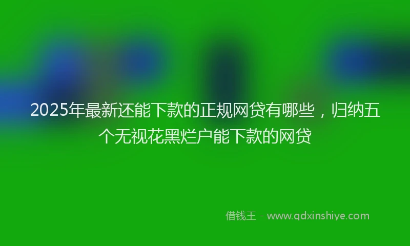 2025年最新还能下款的正规网贷有哪些，归纳五个无视花黑烂户能下款的网贷