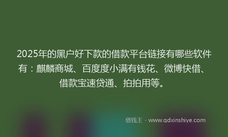 2025年的黑户好下款的借款平台链接有哪些软件有：麒麟商城、百度度小满有钱花、微博快借、借款宝速贷通、拍拍用等。
