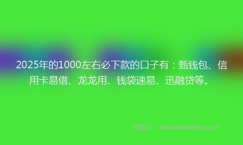 2025年的1000左右必下款的口子有：甄钱包、信用卡易借、龙龙用、钱袋速易、迅融贷等。