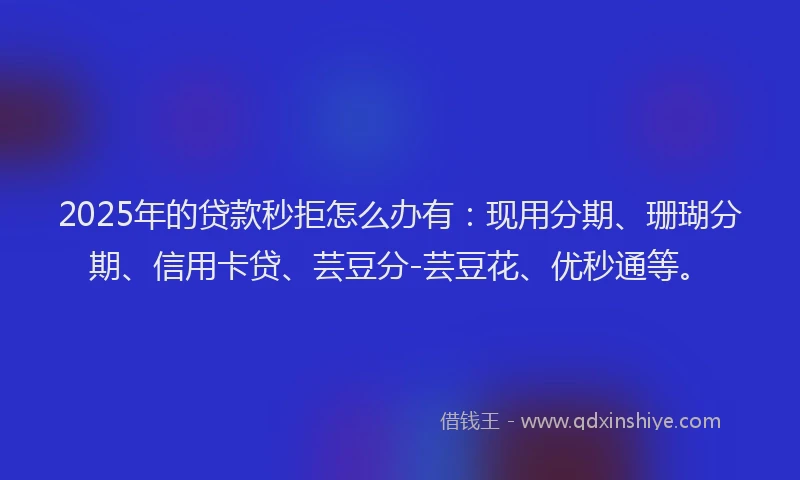 2025年的贷款秒拒怎么办有：现用分期、珊瑚分期、信用卡贷、芸豆分-芸豆花、优秒通等。