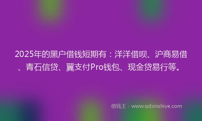 2025年的黑户借钱短期有：洋洋借呗、沪商易借、青石信贷、翼支付Pro钱包、现金贷易行等。