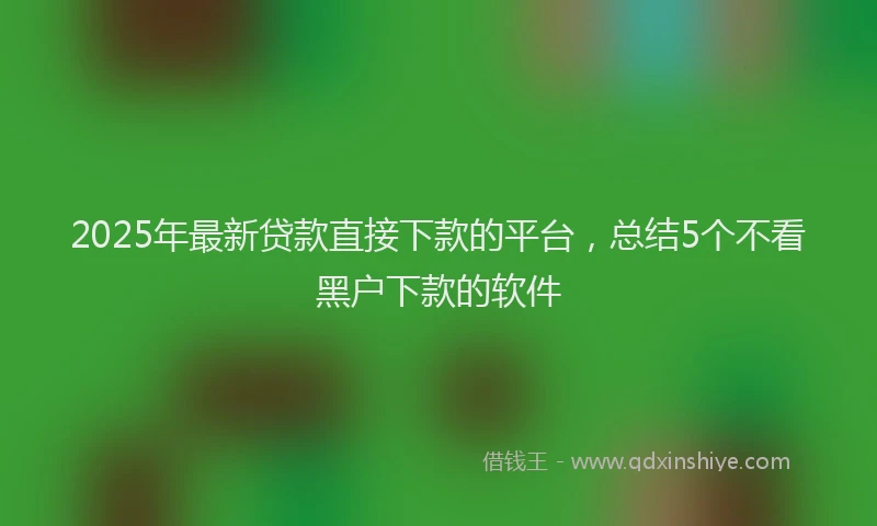 2025年最新贷款直接下款的平台，总结5个不看黑户下款的软件