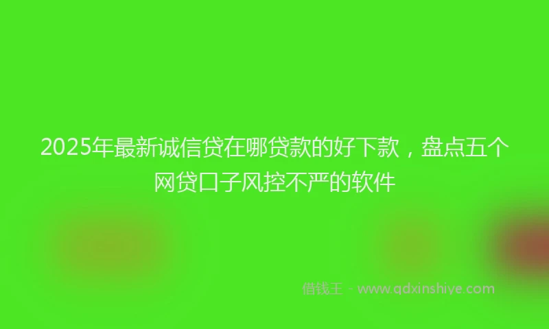 2025年最新诚信贷在哪贷款的好下款，盘点五个网贷口子风控不严的软件