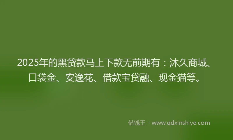 2025年的黑贷款马上下款无前期有：沐久商城、口袋金、安逸花、借款宝贷融、现金猫等。