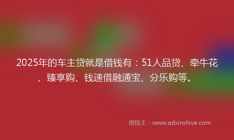 2025年的车主贷就是借钱有：51人品贷、牵牛花、臻享购、钱速借融通宝、分乐购等。